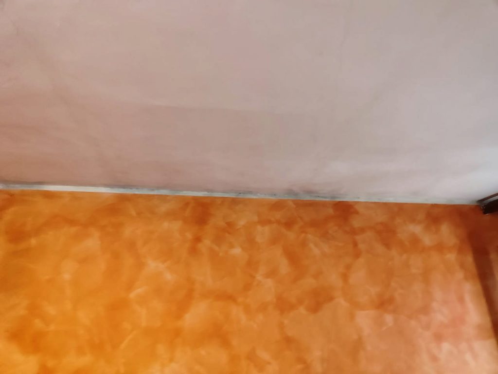 Trattamento-antimuffa-pittura-antimuffa-Prima-01