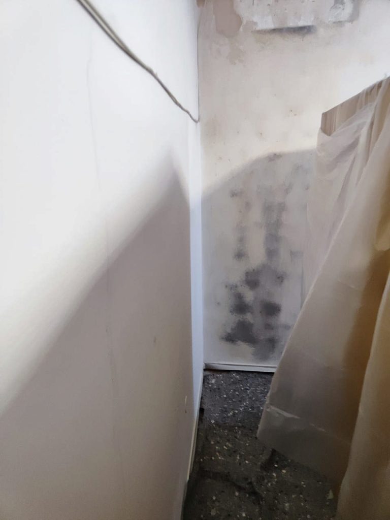 Trattamento-antimuffa-pittura-antimuffa-Prima-07