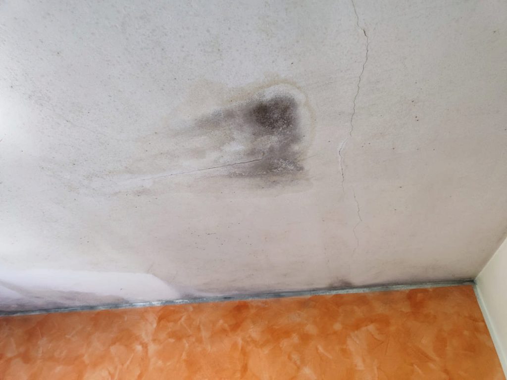 Trattamento-antimuffa-pittura-antimuffa-Prima-11