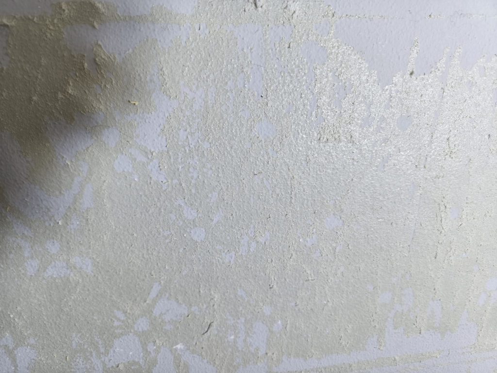 WhatsApp_Image_2026-04-20_at_21.06.24_(3)[1]